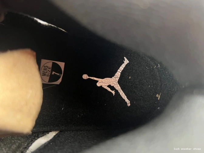 Reps LUCY 5 AIR DD0587-110 'WHITE JORDAN RETRO BLACK' 0807